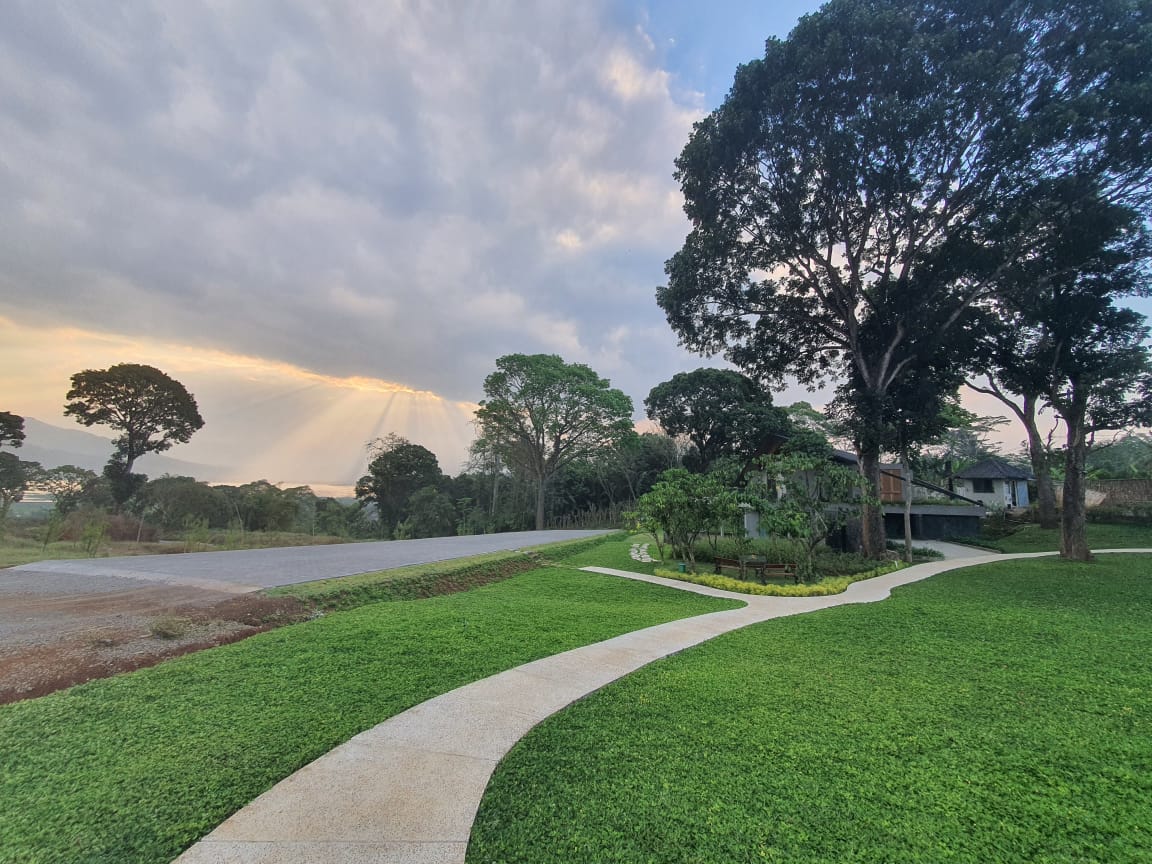 WhatsApp-Image-2023-09-13-at-16.38.39